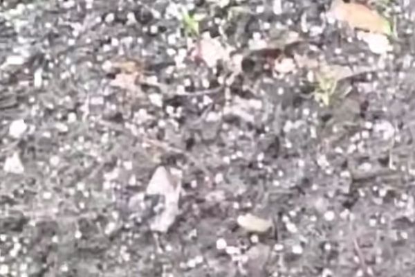 Град выпал в Воронежской области (ВИДЕО)