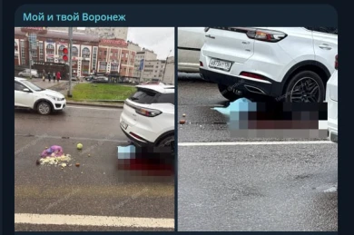 «Огромная лужа крови». Стала известна причина пробки на Московском проспекте