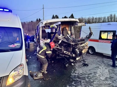 Главное за ночь. 20 человек пострадали в ДТП, слоны затоптали миллионера-винодела