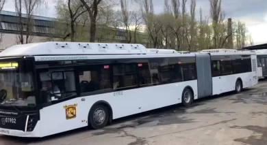 Автобусы-«гармошки» вернулись на воронежские дороги