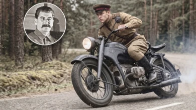 Профессор Харнас: зачем отец вёз Сталину бутылку балтийской воды