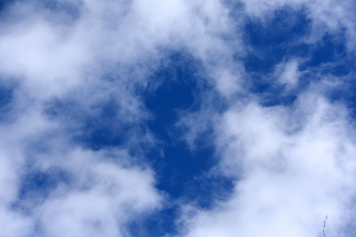 Вражеские дроны приближаются к&nbsp;Воронежской области: объявлен особый режим