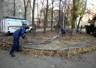 Власти рассказали о последствиях сильного ветра в Воронеже