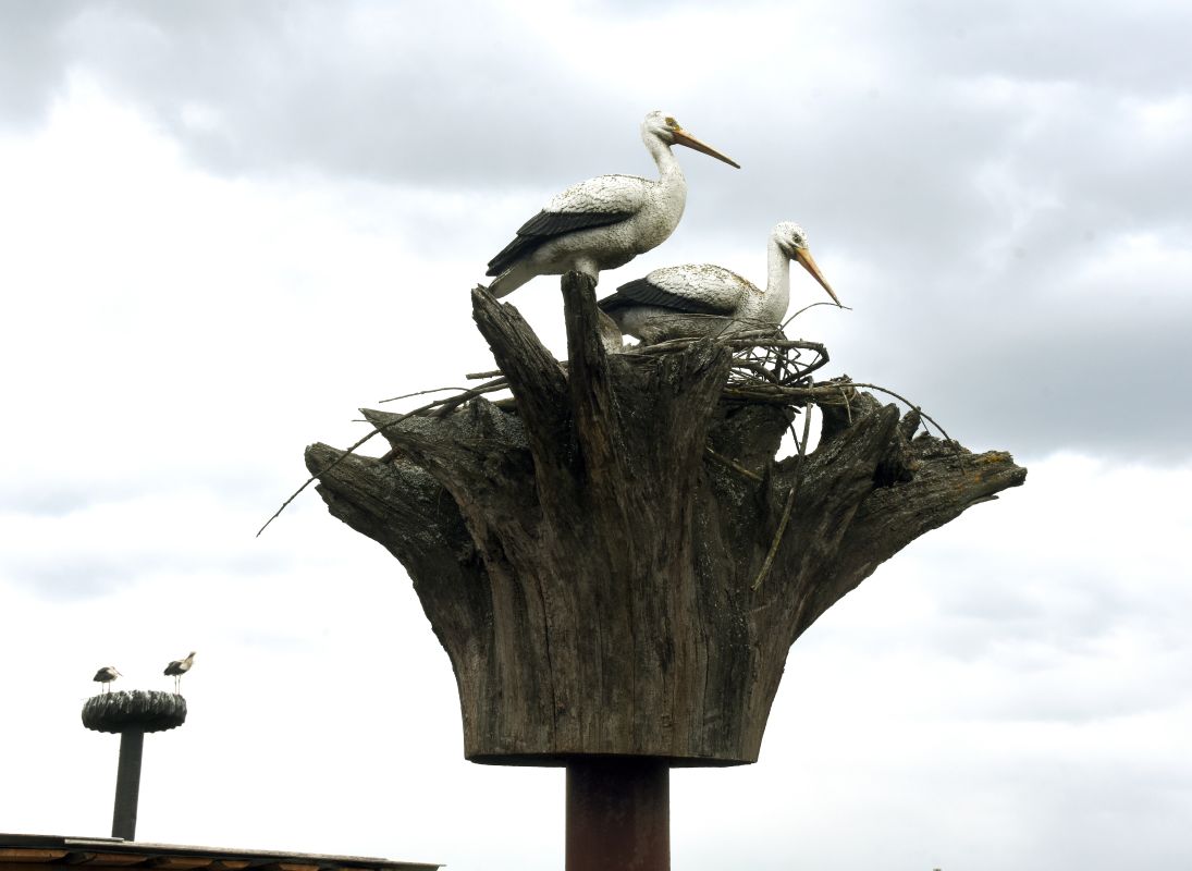 Прогноз погоды в Воронеже на понедельник, 27 апреля