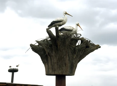 Прогноз погоды в Воронеже на понедельник, 27 апреля