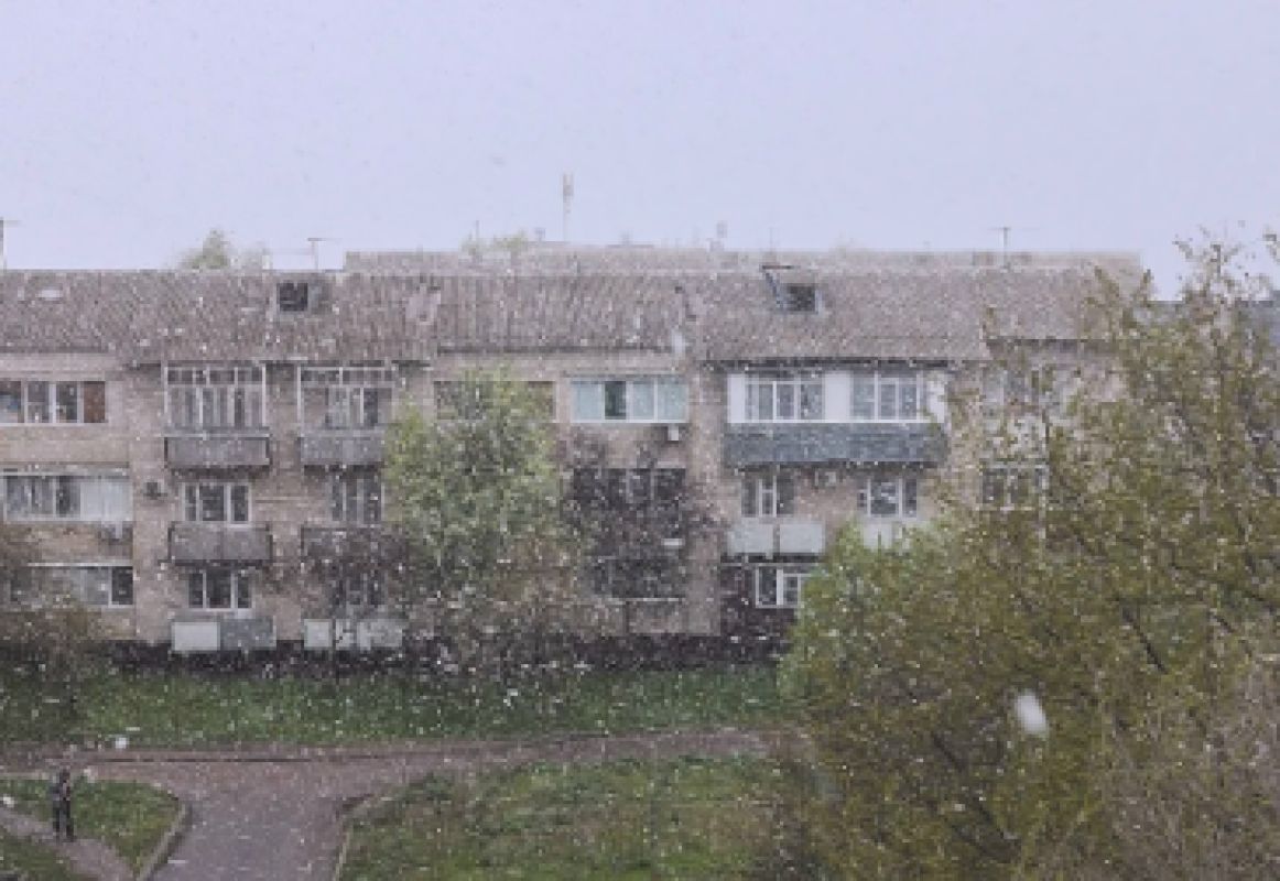 Снег накрыл Воронеж и область (ВИДЕО)