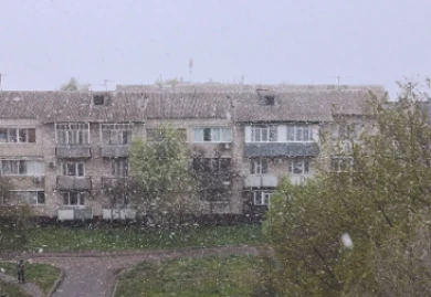 Снег накрыл Воронеж и область (ВИДЕО)