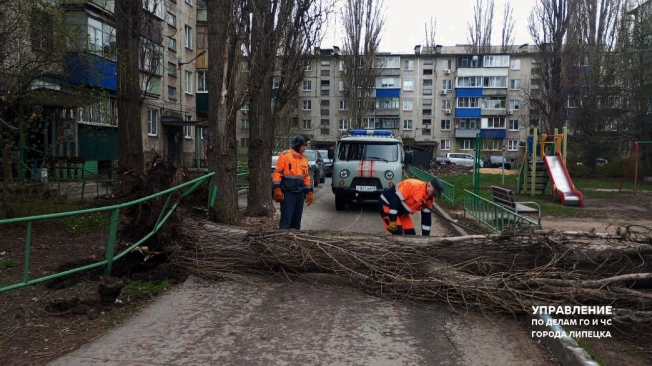 Поваленные от ураганного ветра деревья перекрыли липецкие трассы