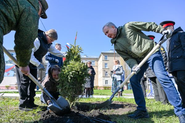 Рядом с Михайловским кадетским корпусом высадили аллею в честь героев СВО 