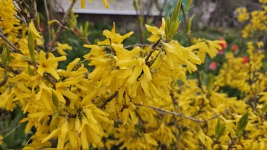 Прогноз погоды в Воронеже на вторник, 28 апреля