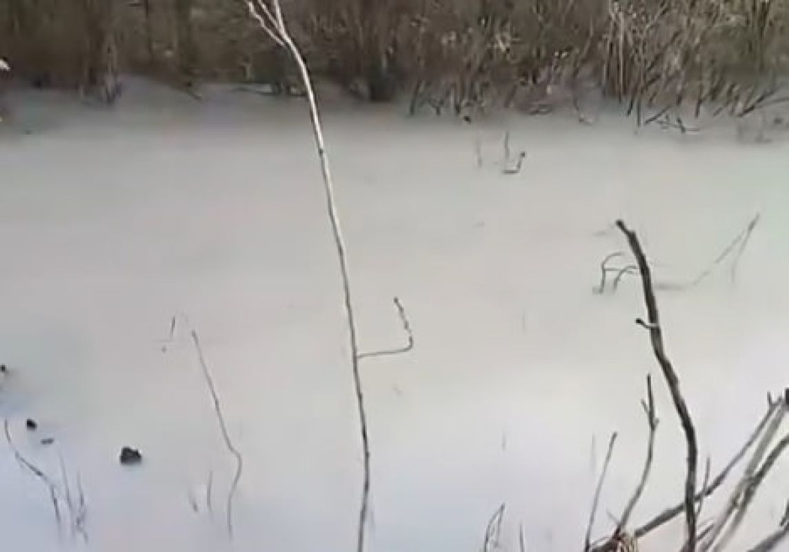 «Белая и&nbsp;вонючая вода». Жители Масловки бьют тревогу из-за экологической катастрофы