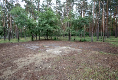 Выяснилось, когда на майских праздниках воронежцы не смогут посетить популярный парк 