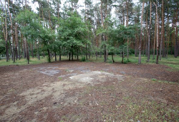 Выяснилось, когда на майских праздниках воронежцы не смогут посетить популярный парк 