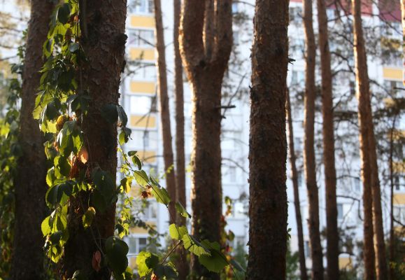 13-летний мальчик пропал в Воронеже