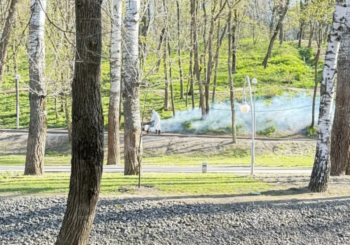 Воронежцев попросили воздержаться от&nbsp;посещения парков и&nbsp;скверов