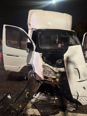 Суровое наказание получил водитель «ГАЗели» за смертельное ДТП в Воронеже 