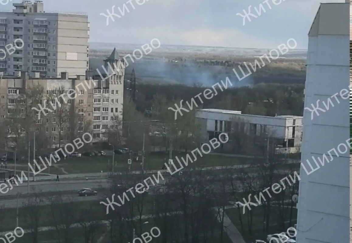 Лес вспыхнул рядом с жилыми домами в Воронеже