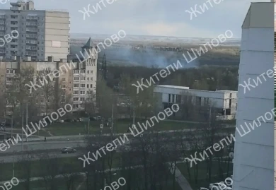 Лес вспыхнул рядом с жилыми домами в Воронеже