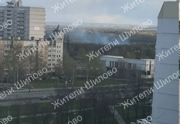 Лес вспыхнул рядом с жилыми домами в Воронеже