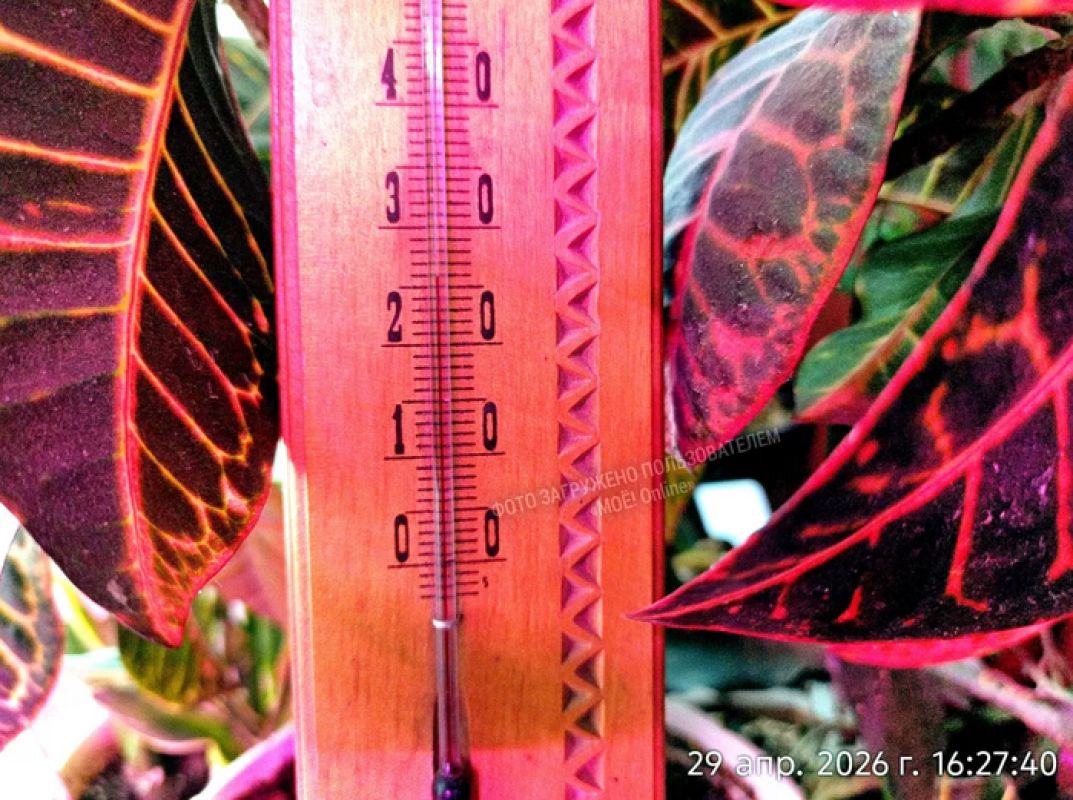 «В квартире Сахара». Воронежцы спорят об отключении отопления&nbsp;