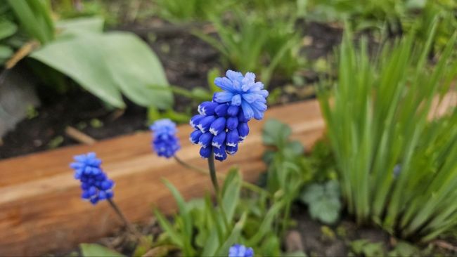 Прогноз погоды в Воронеже на воскресенье, 3 мая 