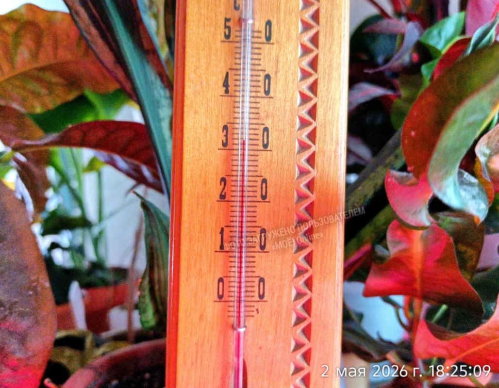 «В квартире уже +32°!» Воронежцы показали на&nbsp;фото, почему жаждут отключения отопления