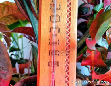 «В квартире уже +32°!» Воронежцы показали на фото, почему жаждут отключения отопления