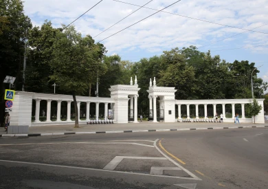 Власти сделали важное заявление о паразитах в Воронеже