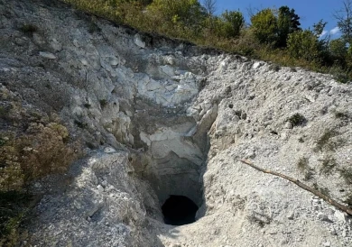 Новый памятник природы появится в Воронежской области