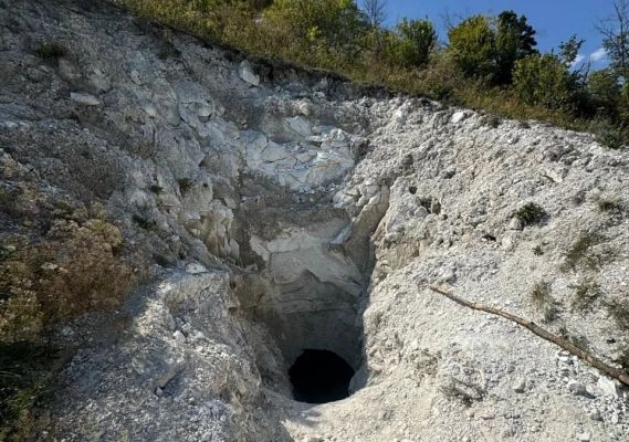 Новый памятник природы появится в Воронежской области