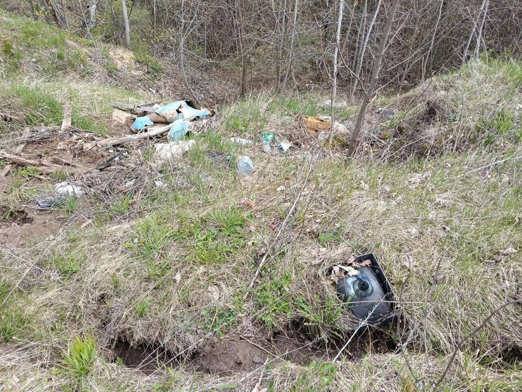 Свалку обнаружили на уникальном памятнике природы под Воронежем