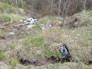 Свалку обнаружили на уникальном памятнике природы под Воронежем