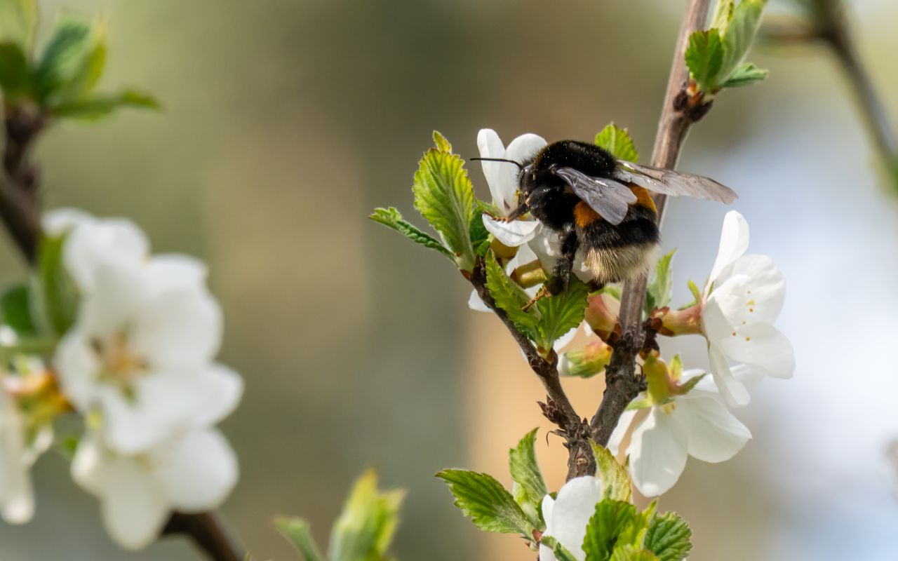 Прогноз погоды в&nbsp;Воронеже на&nbsp;четверг, 7 мая