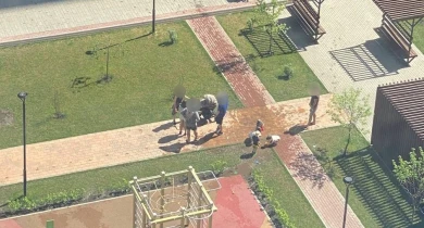 На вандальное поведение детей во дворе ЖК пожаловались воронежцы