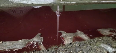 Мясокомбинат залил красной жижей улицу в белгородском селе