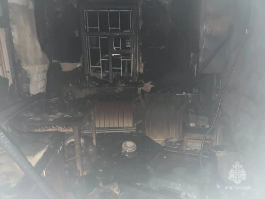 Мужчина погиб в жутком пожаре под Воронежем
