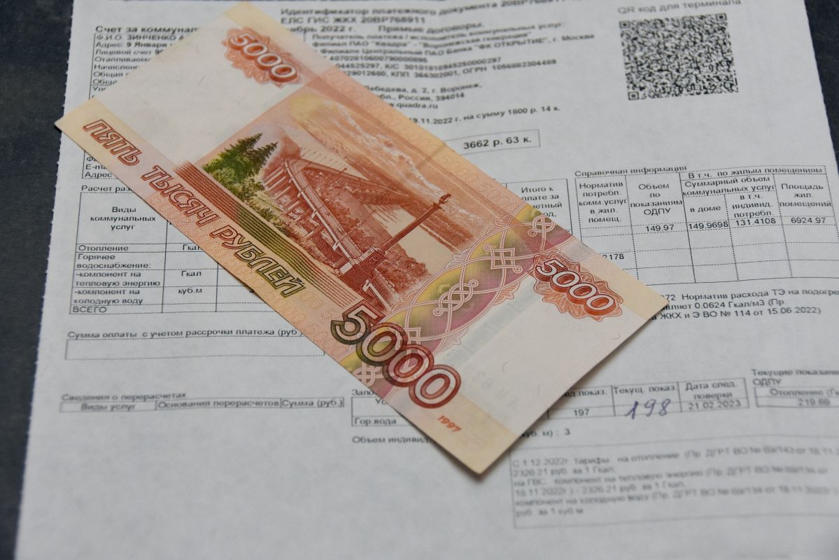 Воронежцев предупредили о росте тарифов на ЖКУ в ближайшие три года&nbsp;