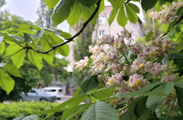 32-градусная жара нагрянет в Воронеж