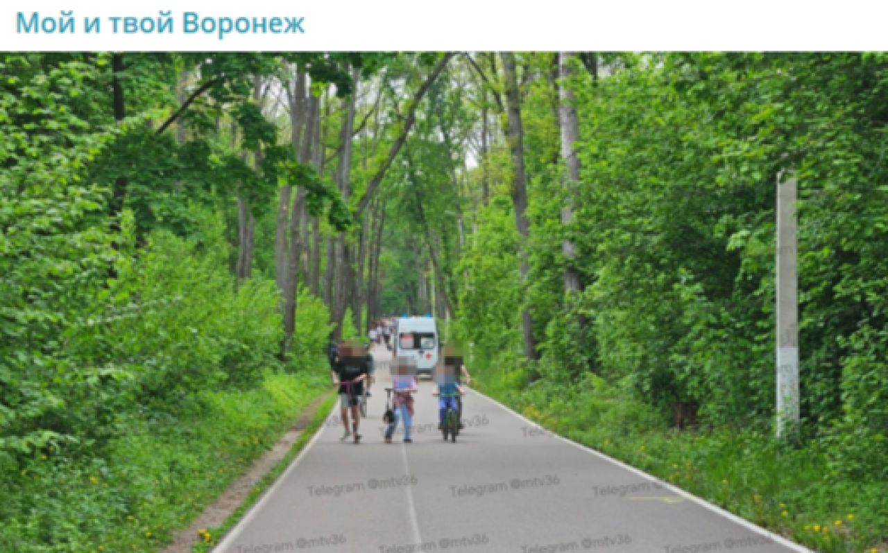 Воронежцы: «Скейтбордист разбился насмерть на глазах прохожих в парке»