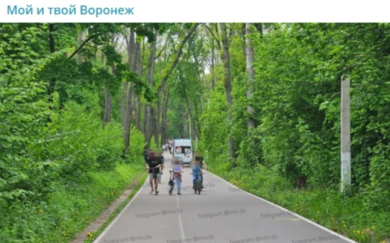 Воронежцы: «Скейтбордист разбился насмерть на глазах прохожих в парке»