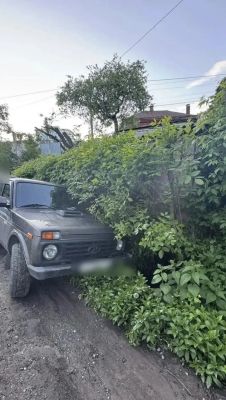 Завёл машину, но далеко не уехал. Пьяного угонщика поймали в Воронеже 