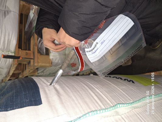 40 тонн опасных семян гороха обнаружили в Воронежской области