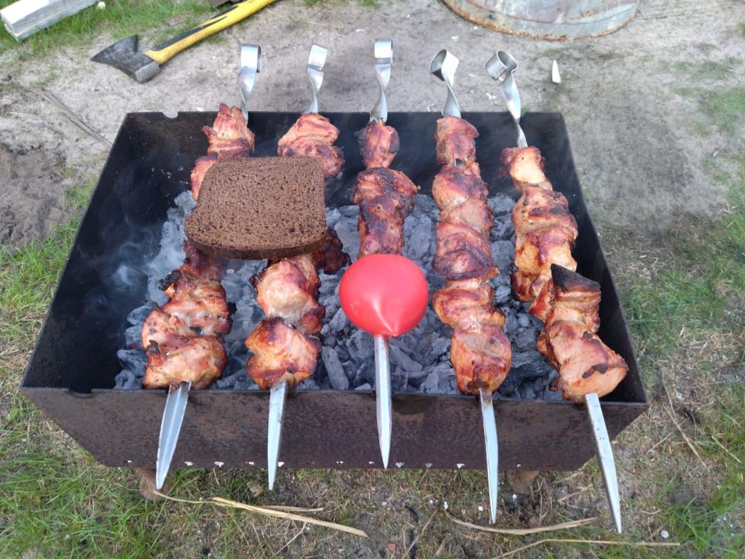 Можно ли воронежцам жарить шашлык на&nbsp;природе?