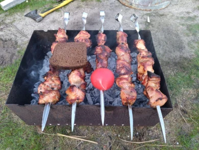 Можно ли воронежцам жарить шашлык на природе?