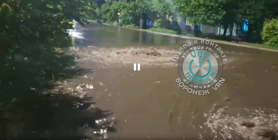 «Что там вообще происходит?» Последствия ливня на воронежской улице показали на видео 
