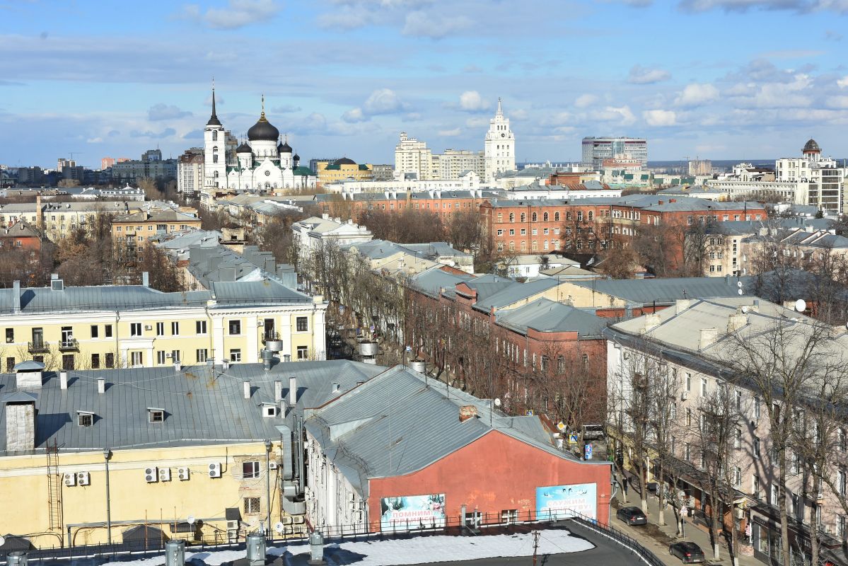 С гостей Воронежа за&nbsp;три месяца собрали 12 миллионов рублей