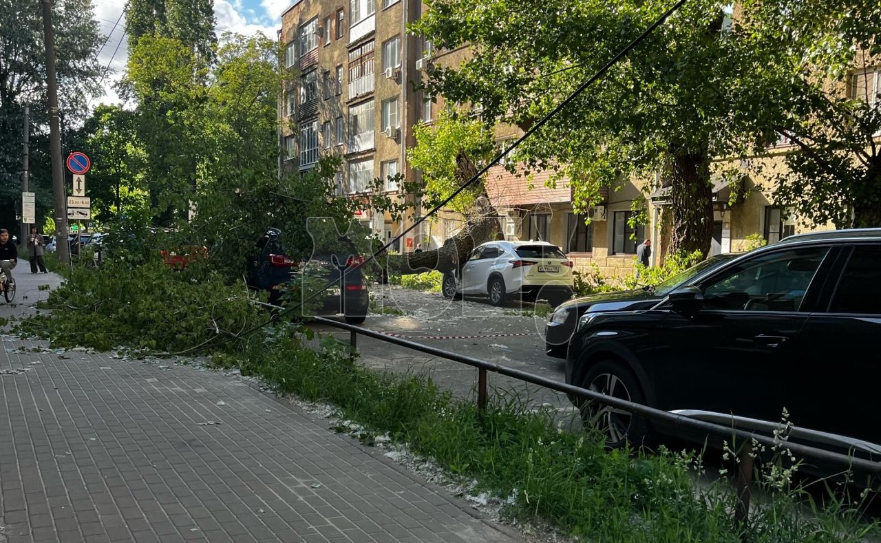 Гигантское дерево придавило машины во время непогоды в Воронеже