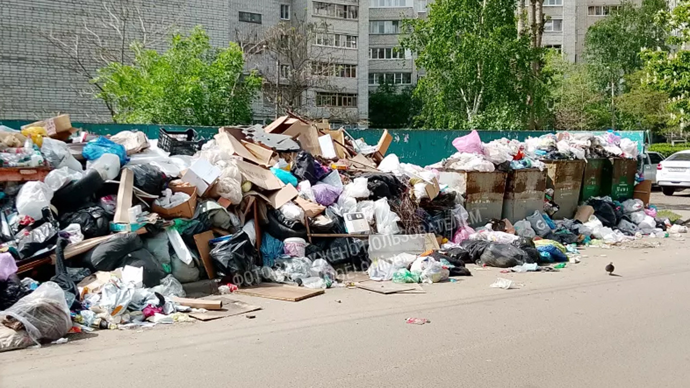 В чём причина появления мусорных завалов в воронежских дворах