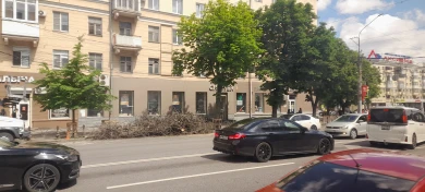 SOS: на Плехановской умерли сразу 24 каштана и 4 липы