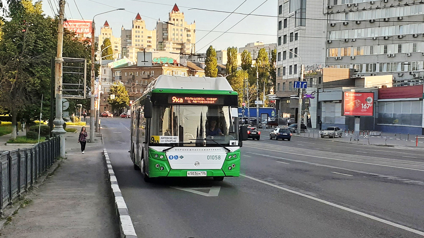 Метробус в Воронеже: много шума почти из ничего